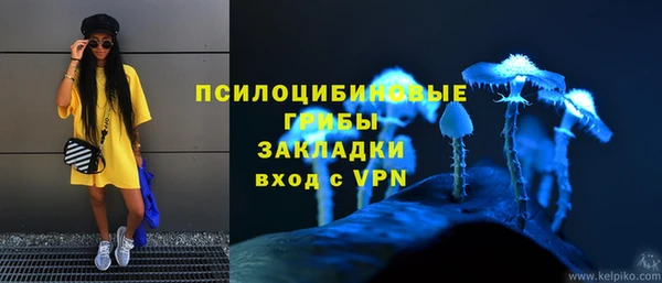 гидропоника Богородск