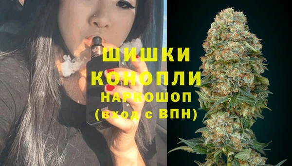 PSILOCYBIN Бугульма