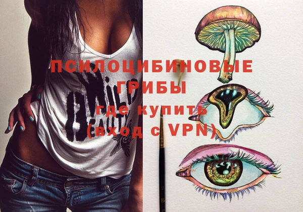 PSILOCYBIN Бугульма